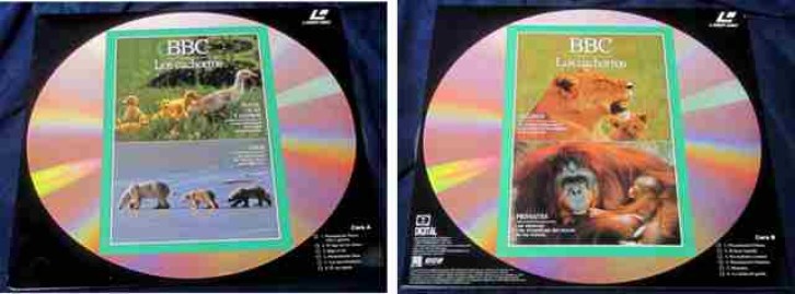 LASER DISC BBC LOS CACHORROS PATOS OSOS FELINOS PRIMATES